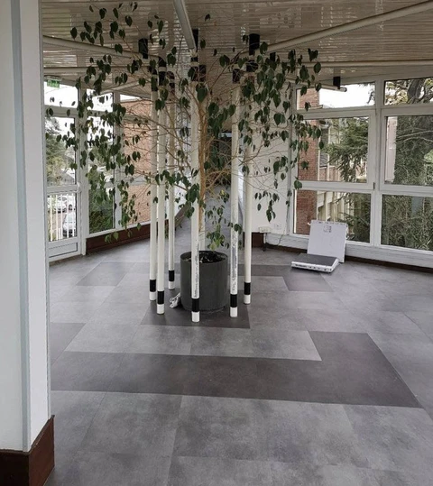 Espace intérieur moderne avec verrière, installation artistique de bouleaux blancs aux feuilles vertes disposés en cercle au centre
